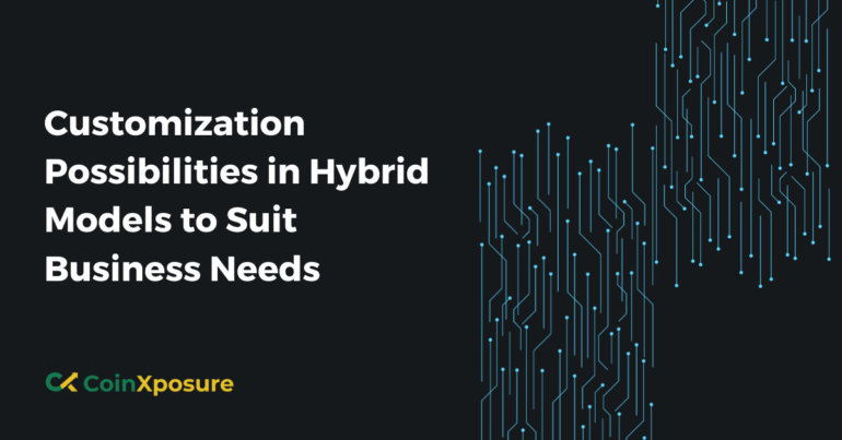 Customization Possibilities in Hybrid Models to Suit Business Needs