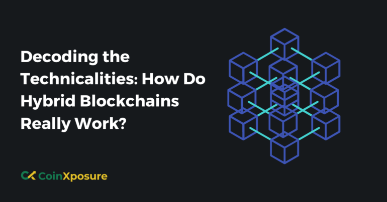 Decoding the Technicalities - How Do Hybrid Blockchains Really Work?
