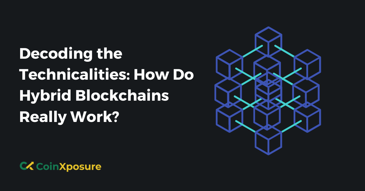 Decoding the Technicalities – How Do Hybrid Blockchains Really Work?