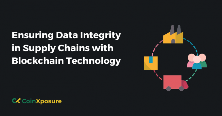 Ensuring Data Integrity in Supply Chains with Blockchain Technology