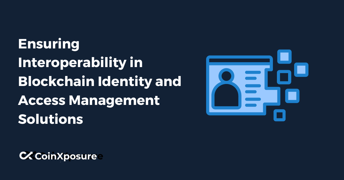 Ensuring Interoperability in Blockchain Identity and Access Management Solutions