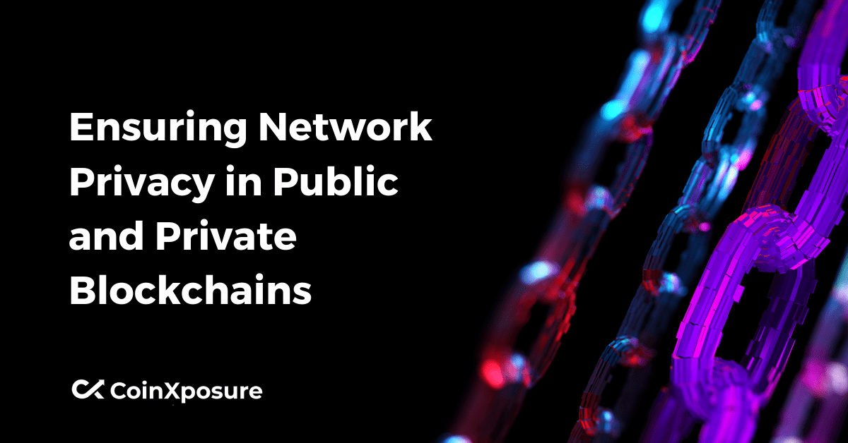 Ensuring Network Privacy in Public and Private Blockchains