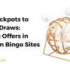 From Jackpots to Special Draws: Exciting Offers in Premium Bingo Sites.
