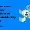Governance and Regulatory Implications of Blockchain Identity Systems