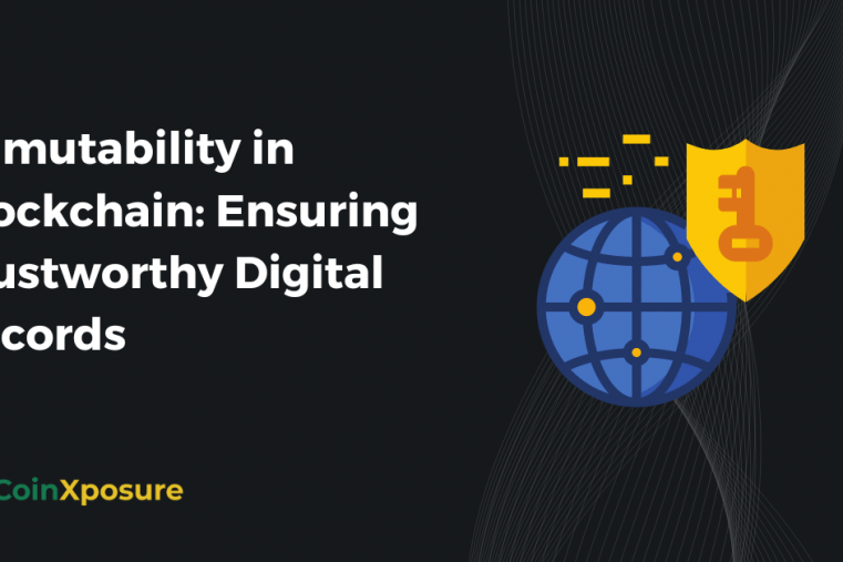 Immutability in Blockchain: Ensuring Trustworthy Digital Records