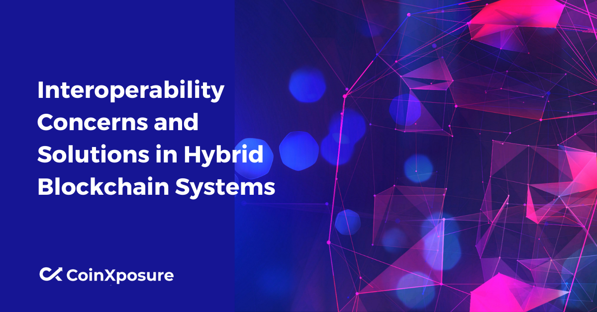 Interoperability Concerns and Solutions in Hybrid Blockchain Systems