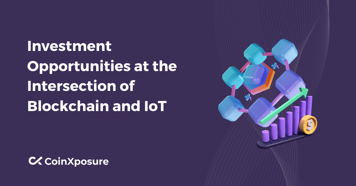 Investment Opportunities at the Intersection of Blockchain and IoT