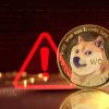 Mishaboar Sounds Alarm on Rising Dogecoin Frauds