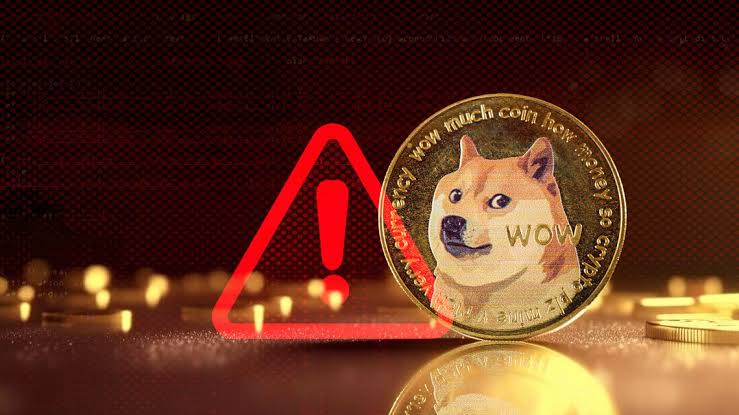 Mishaboar Sounds Alarm on Rising Dogecoin Frauds