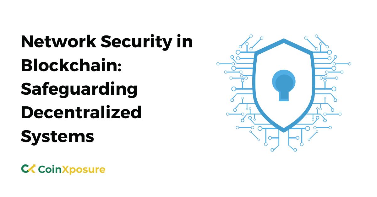 Network Security in Blockchain - Safeguarding Decentralized Systems