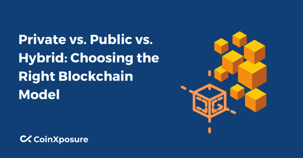 Private vs. Public vs. Hybrid: Choosing the Right Blockchain Model