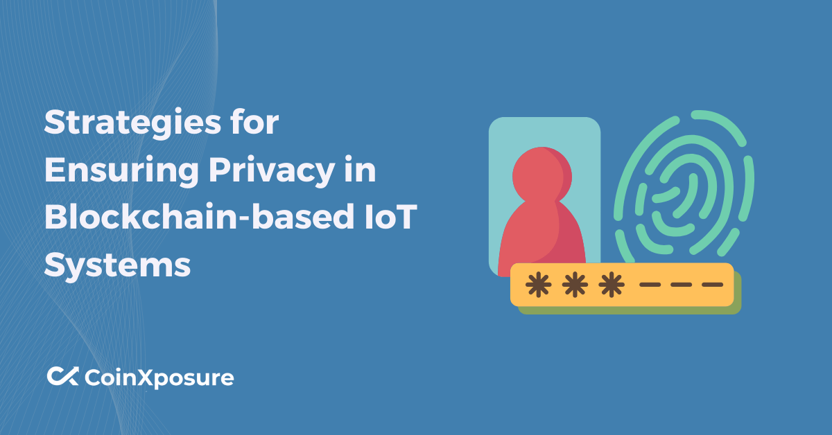 Strategies for Ensuring Privacy in Blockchain-based IoT Systems
