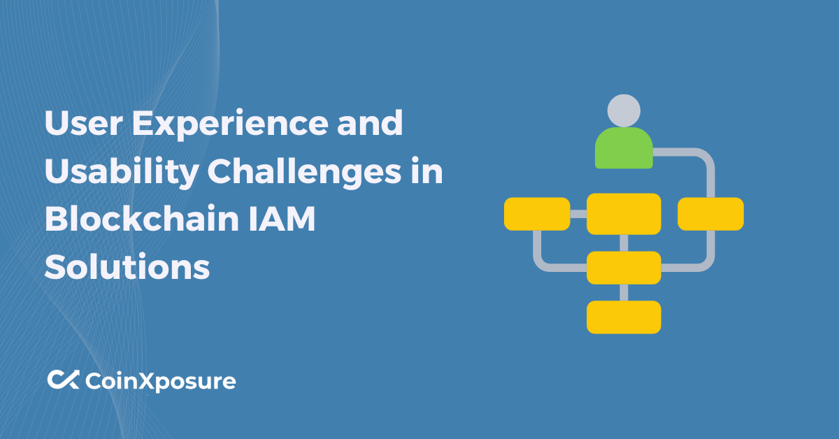 User Experience and Usability Challenges in Blockchain IAM Solutions