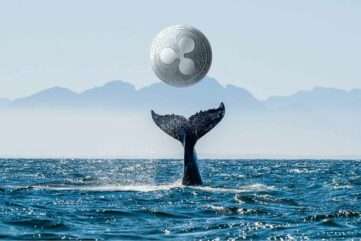 Whale Alert Chronicles Massive XRP Transfers