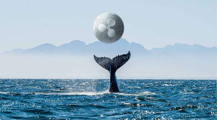 Whale Alert Chronicles Massive XRP Transfers