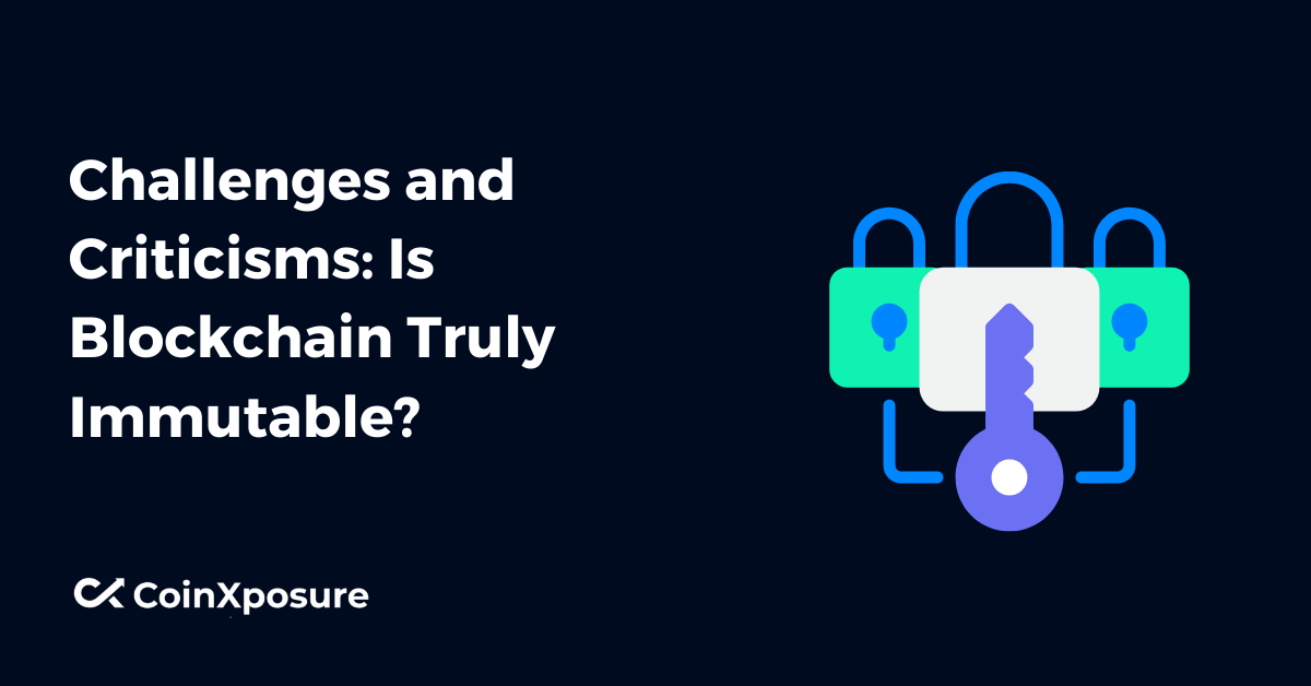 Challenges and Criticisms – Is Blockchain Truly Immutable?