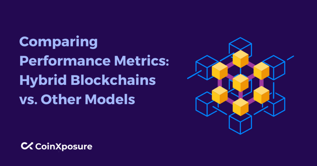 Comparing Performance Metrics: Hybrid Blockchains vs. Other Models