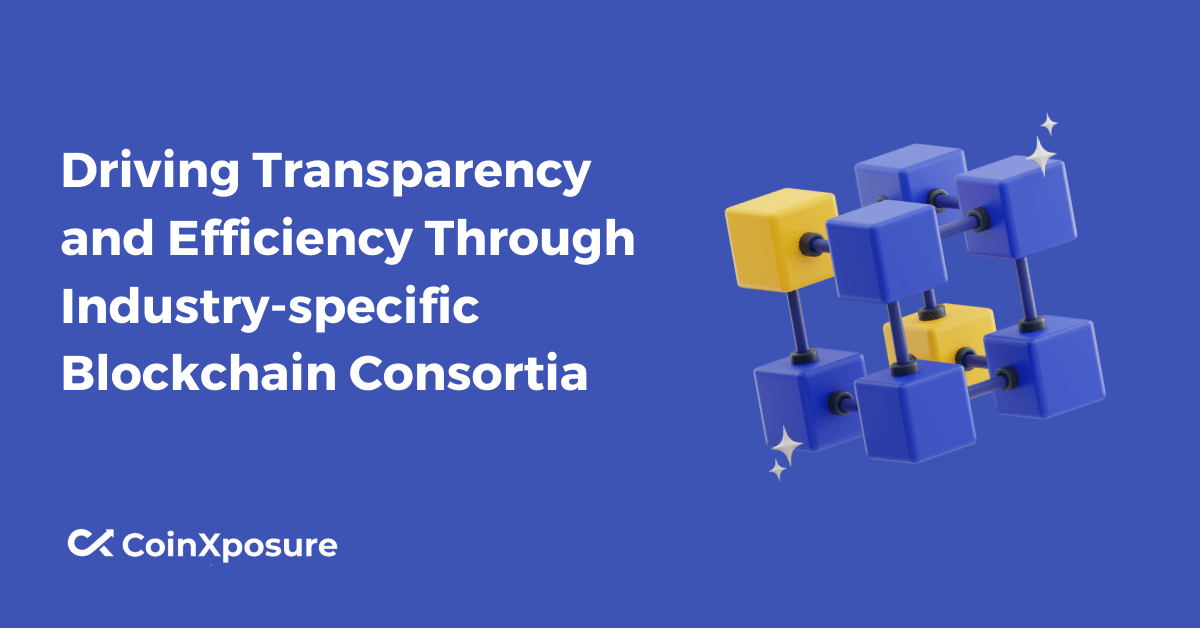 Driving Transparency and Efficiency Through Industry-specific Blockchain Consortia