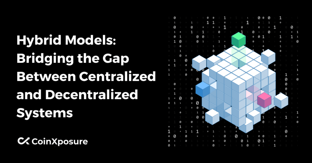 Hybrid Models: Bridging the Gap Between Centralized and Decentralized Systems