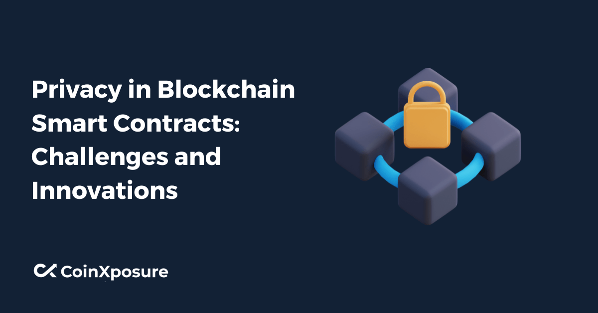 Privacy in Blockchain Smart Contracts - Challenges and Innovations
