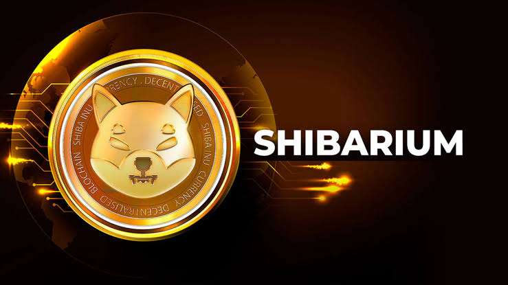 Shiba Inu Rings in 2024: Warnings, Shibarium Success