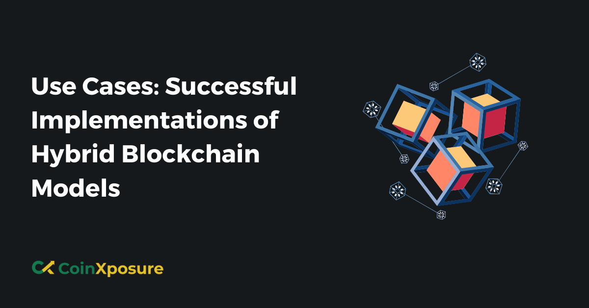 Use Cases – Successful Implementations of Hybrid Blockchain Models