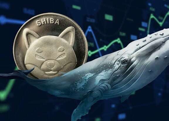 Shiba Inu Whales Trigger Price Surge