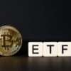 Bitcoin ETFs Decoding: Understanding Risks, Dynamics