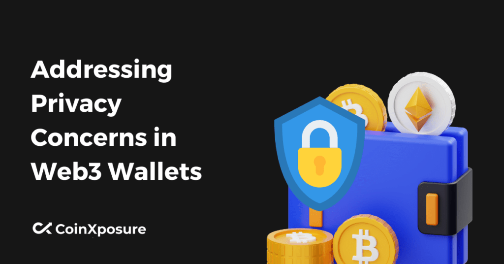 Addressing Privacy Concerns in Web3 Wallets