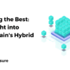 Blending the Best: An Insight into Blockchain's Hybrid Models