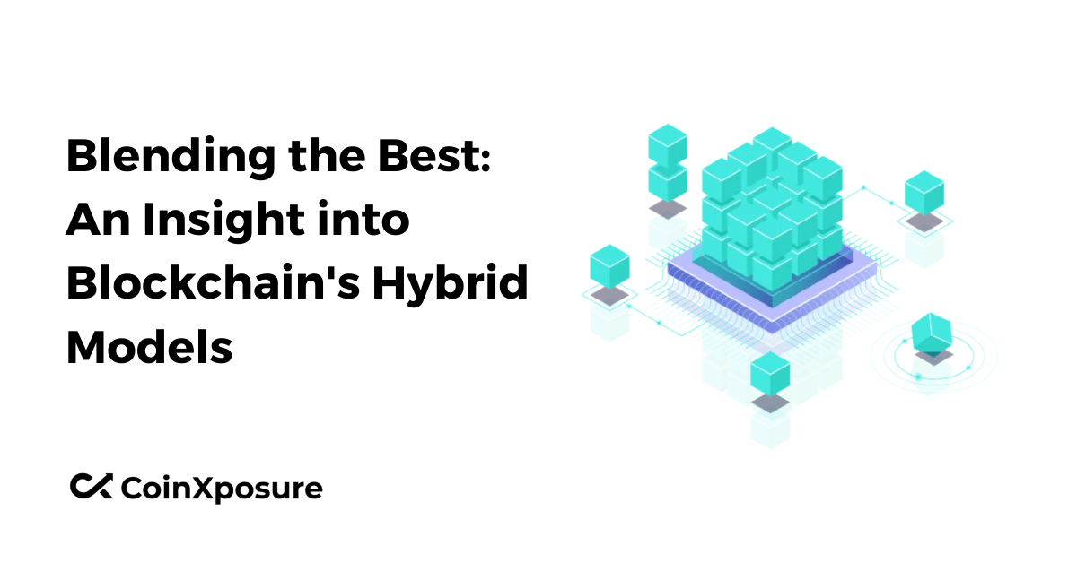 Blending the Best: An Insight into Blockchain’s Hybrid Models