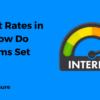 Interest Rates in DeFi - How Do Platforms Set Them?