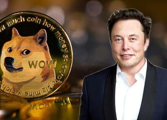 Elon Musk's Dogecoin Connection