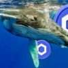 Chainlink's Whales Drive Token Value Surge