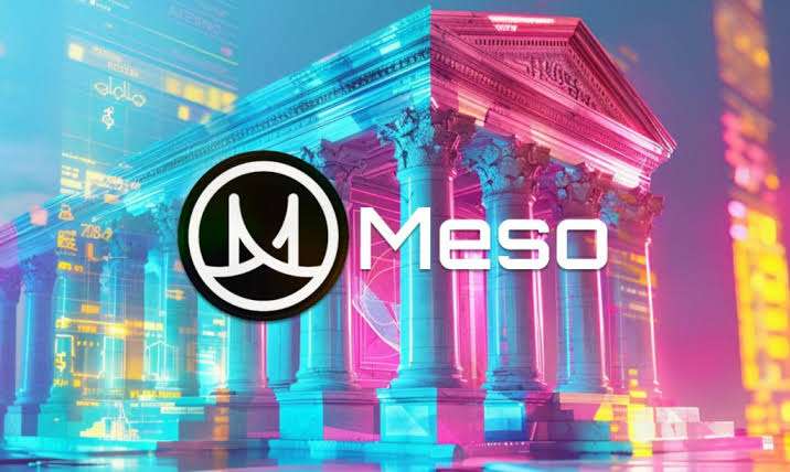 Meso: Simplifying Crypto Payments with $9.5M Seed Round