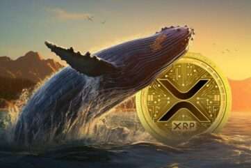 XRP Whale Dumps 26M Token on Binance