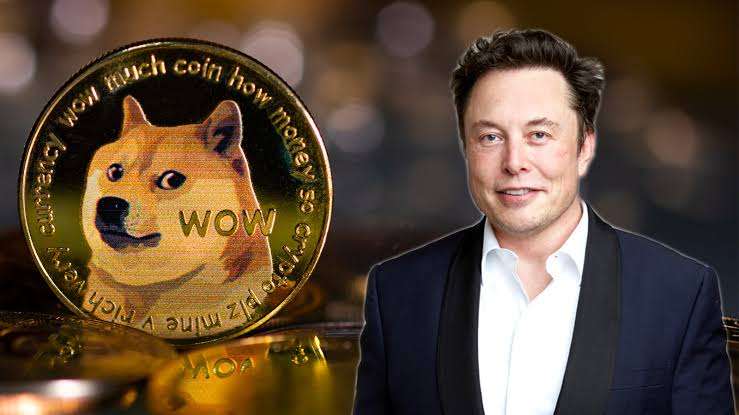MyDOGE CEO Sparks Speculation with Mars Announcement