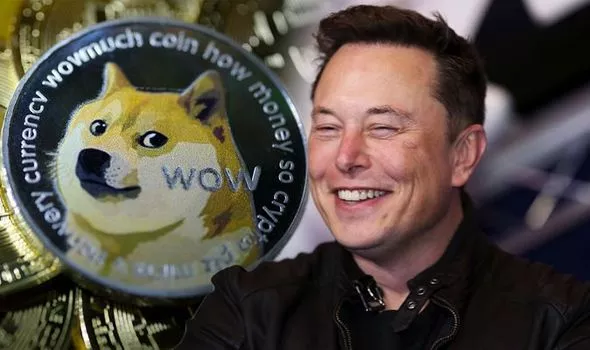 Dogecoin’s (DOGE) Meteoric Rise in Value Since 2013 Launch