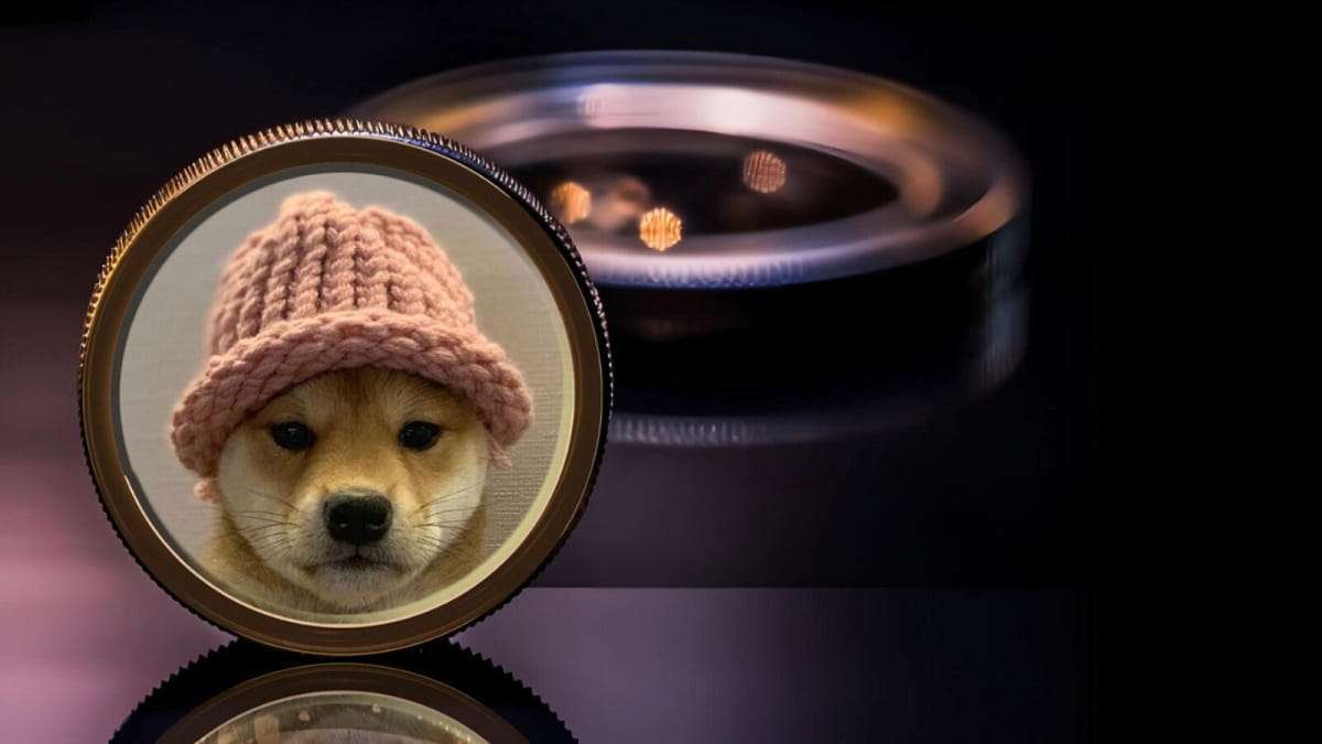 Dogwifhat Sparks Surge in Meme Coins