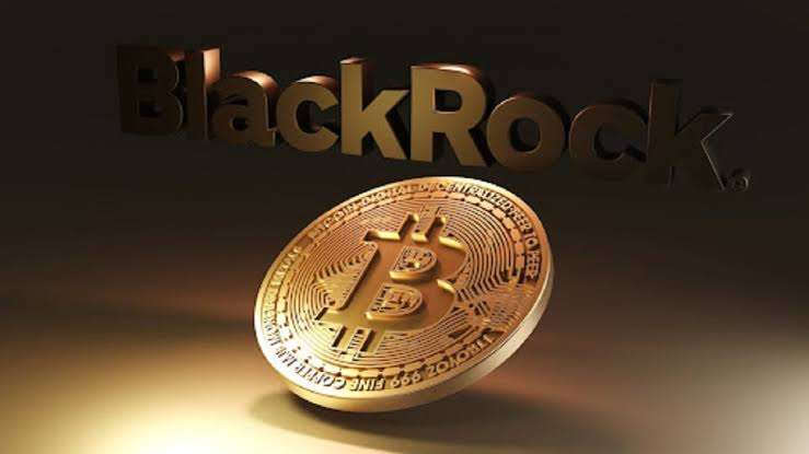 Blackrock Bitcoin ETF Sees Gradual Expansion