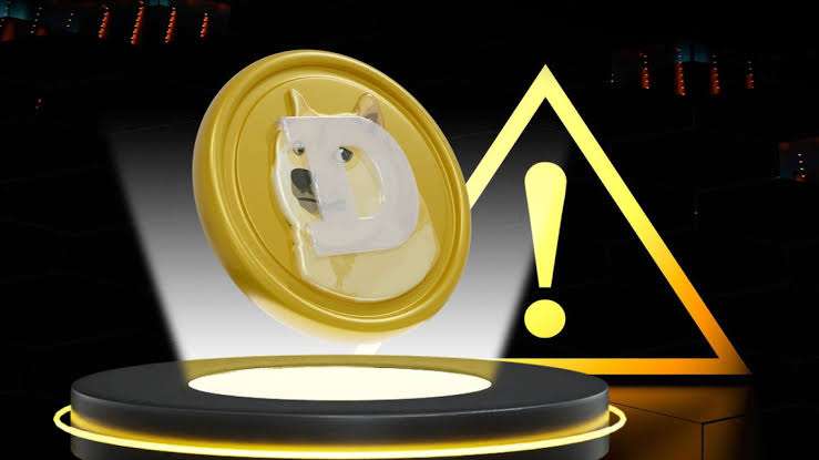 Dogecoin Community Alerted to Suspicious Domain Activity
