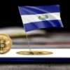El Salvador Bitcoin Ownership Questioned