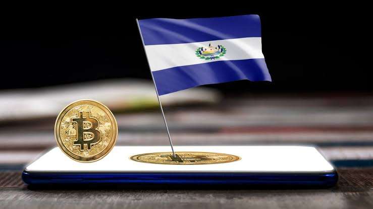 El Salvador Bitcoin Ownership Questioned