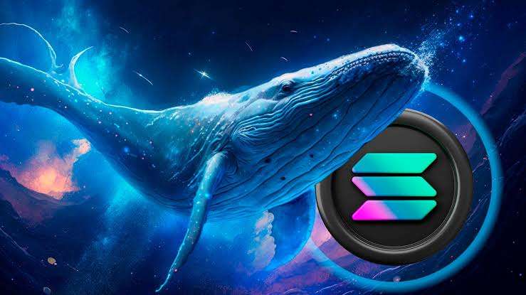 Solana’s Big Moves: Whale Alert Triggers Speculation