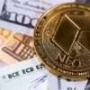 NEO's Price Analysis: Support Holds Firm