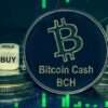 Bitcoin Cash (BCH) Price Soars 17%