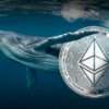 Ethereum ICO Whale Moves 2000 ETH During Recovery