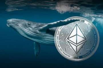 Ethereum ICO Whale Moves 2000 ETH During Recovery