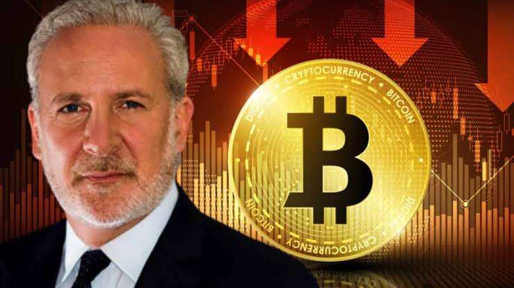 Peter Schiff Warns Saylor Over  $623M Bitcoin Bet