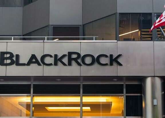 BlackRock gets memecoins, NFTs with $100M deposit